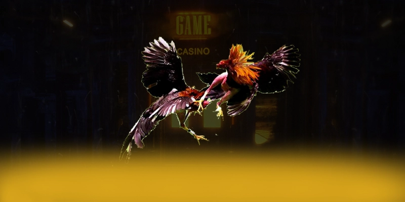 N88 - Nhà cái được đánh giá cao về chất lượng trên thị trường – Khám phá ngay các trò chơi tại N88