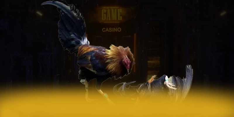 N88 - Nền tảng cá cược có nhiều event hấp dẫn hiện nay – Khám phá N88