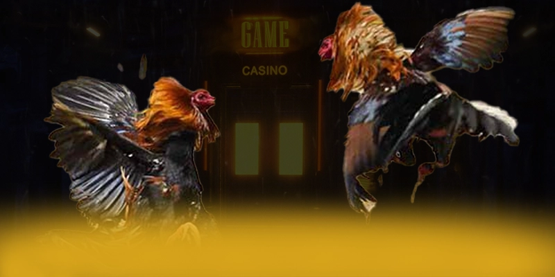 VWIN - Cổng game ổn định số 1 Việt Nam VWIN - Cổng game ổn định số 1 Việt Nam