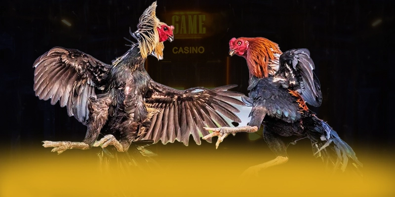 LC88 - Tổng kết một cách toàn diện. LC88 - Tổng kết một cách toàn diện.