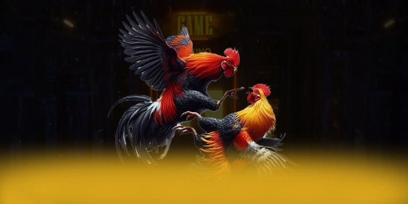 W88 - Cổng game bài hiện đại số 1 Việt Nam W88 - Cổng game bài hiện đại số 1 Việt Nam