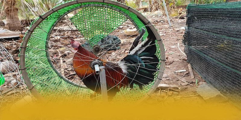 tỷ lệ kèo bóng đá - Cổng trò chơi được yêu thích đang làm mưa làm gió tỷ lệ kèo bóng đá - Cổng trò chơi được yêu thích đang làm mưa làm gió