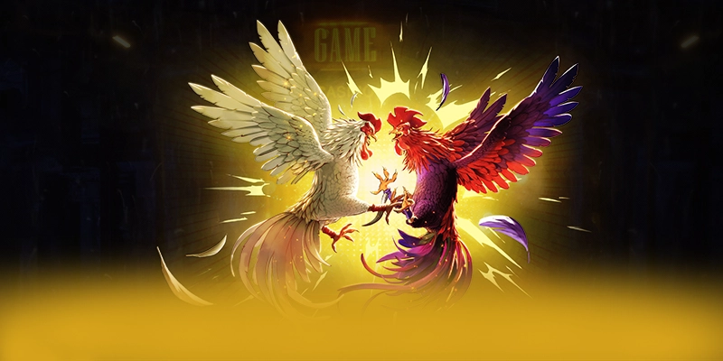 WIN79 - Thương hiệu tối ưu được quan tâm hàng đầu WIN79 - Thương hiệu tối ưu được quan tâm hàng đầu